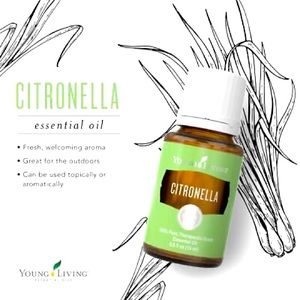 Young Living CITRONELLA Essential Oil